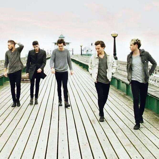 soy una directioner  los amo, soy la de la mitad