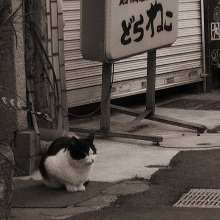 kensuke_Sさんのプロフィール画像