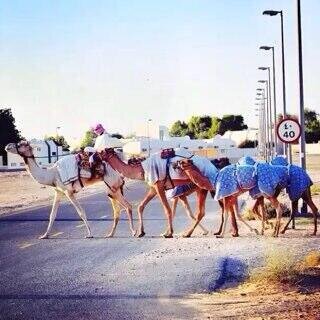 ﺂ̲ﺳ̭͠ﭠ̯ﻏ̭̚ﻓ̰̆ہڕآللَہٌ ﭑﻟ̣̐ﻋ͠ظﻳ̉ﻡ̡̚ ۆﺄﺗ̝̚ۆٻ ﺈ̃ﻟ̣̐ﻳ̉ﮦ