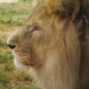 kim ladd - @salisburyxxx - Twitter