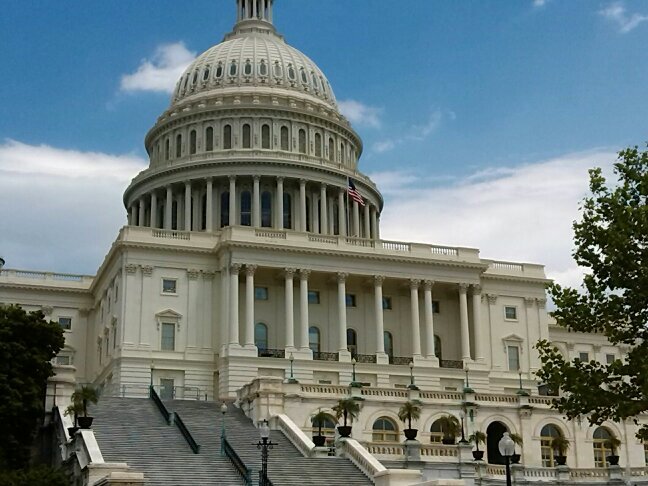 Fariko_Booties's profile picture. I Snipe and Do TVs