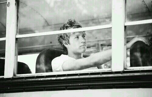 primadonnialler's profile picture. please follow @zaynicklette