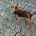 john pedersen - @boglin71 - Twitter