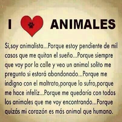 Harta de este mundo que maltrata asi a todos los animales de la tierra!Amante de los animales