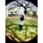 yuniathermalia's profile image
