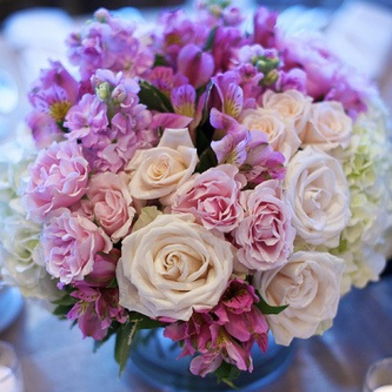 Lucy_V60's profile picture. 