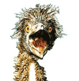 uninformed opinionator