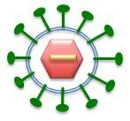BBSRC funded UK-India Collaboration on Diagnosis of Emerging Viruses (CoDEV)