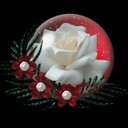 النجوم (@0123Star95) Twitter