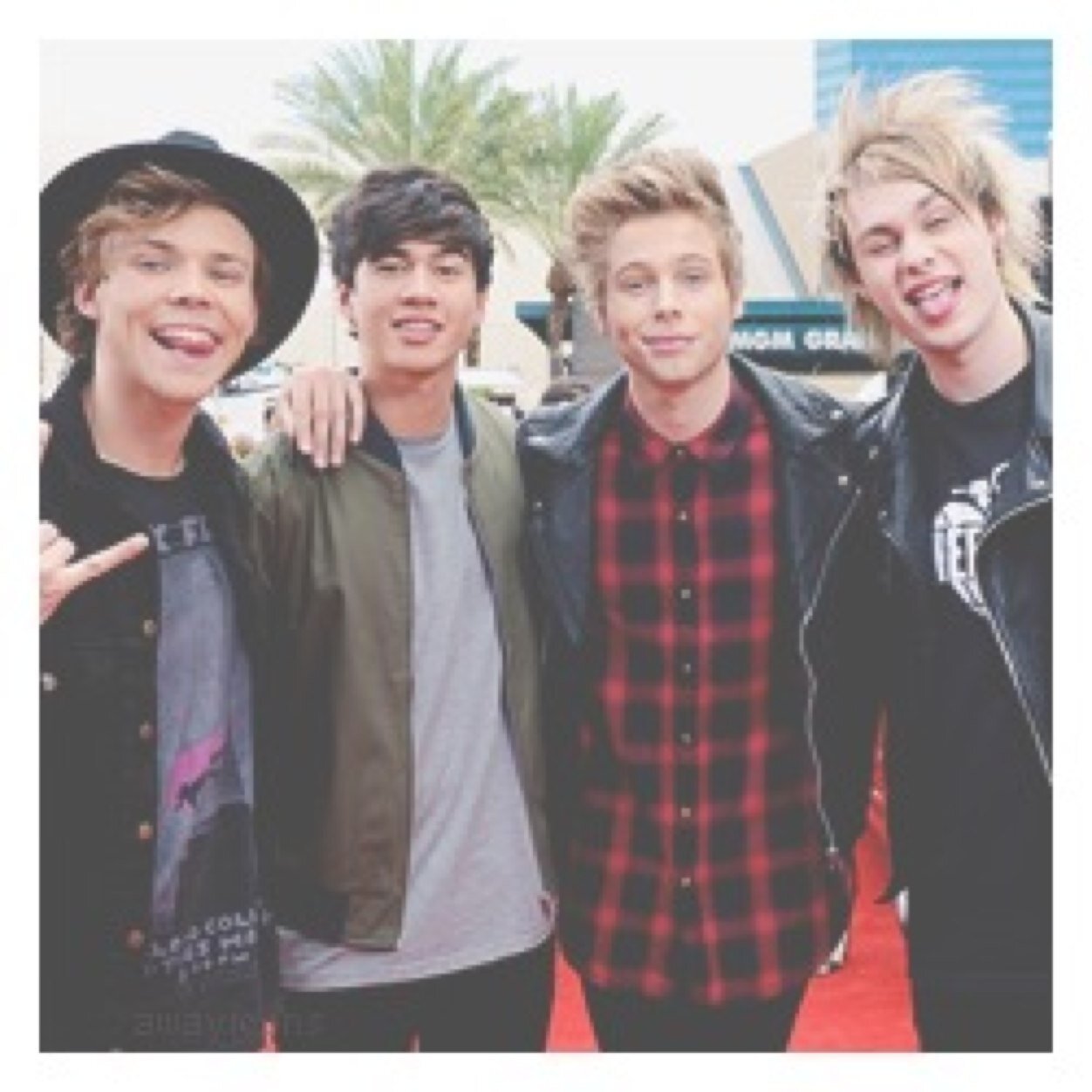 5SOSSwissProjec Profile Picture