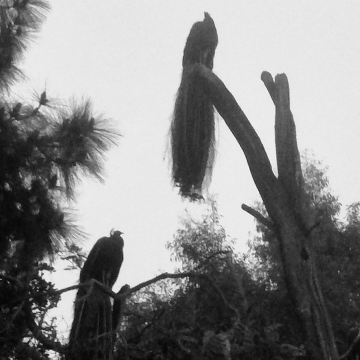 mdelat100's profile picture. 