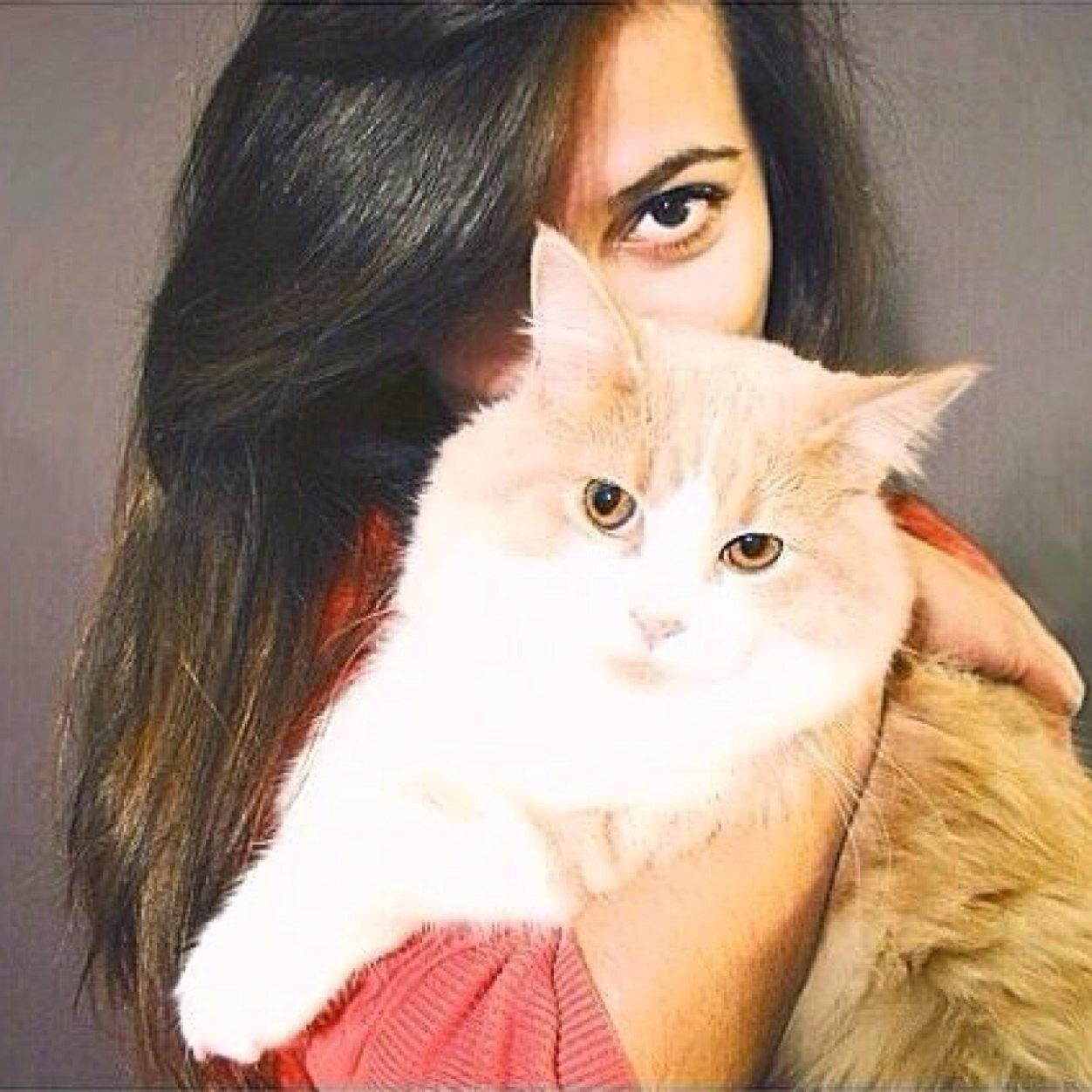 smgokt's profile picture. I'm kind of obsessed with sunsets / Digital Strategist / Opinions are my own