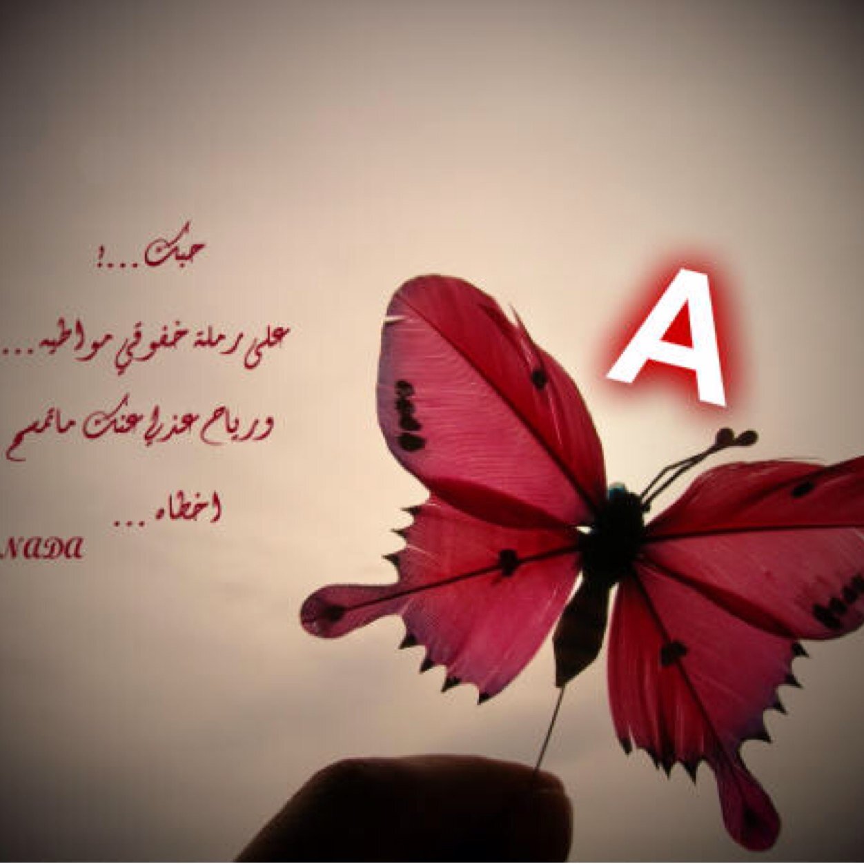 الخاص ممنوع