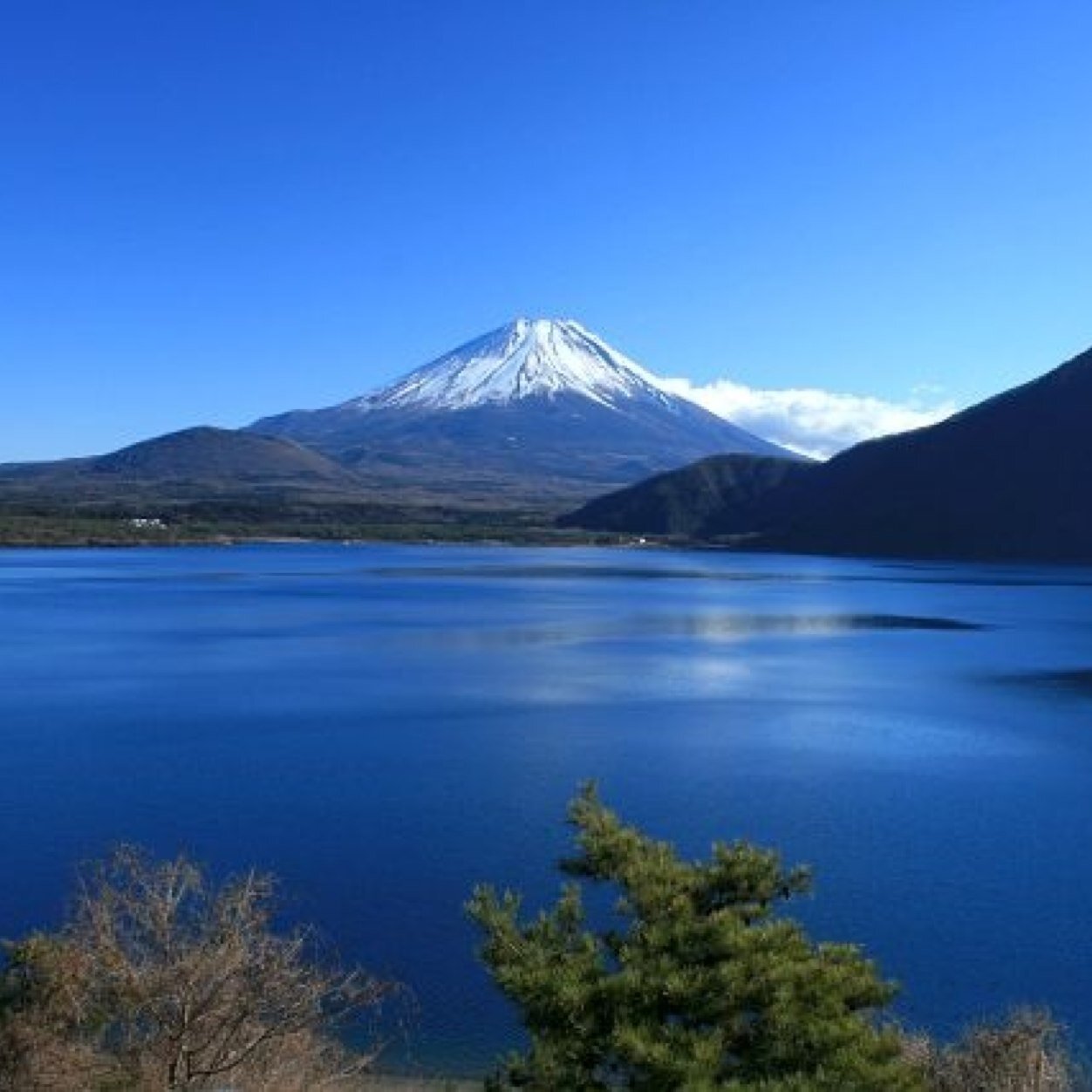 sakanouede's profile picture. 沖縄