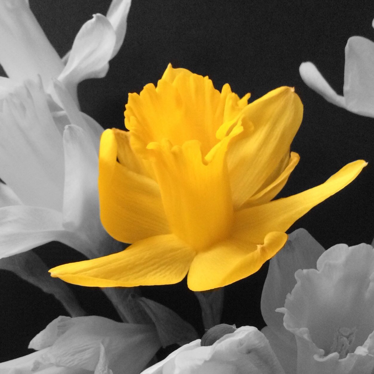 lookbac_co_uk's profile picture. Lookbac - Mainly UK travel & vintage, pre-owned & discontinued items alongside our other UK twitter @SouthHamsDevon and Instagram lookbac_co accounts