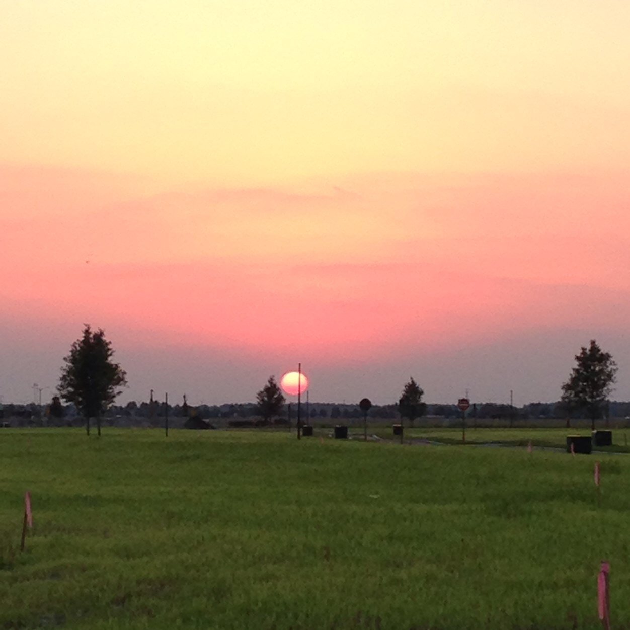 SunnySideofLif1's profile picture. The Sunny-side of Life is my tribute to living a healthy, impactful lifestyle while working to make postive impacts everyday.