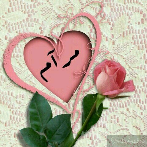 applea122378 Profile Picture