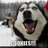 JackieMaddux's profile image