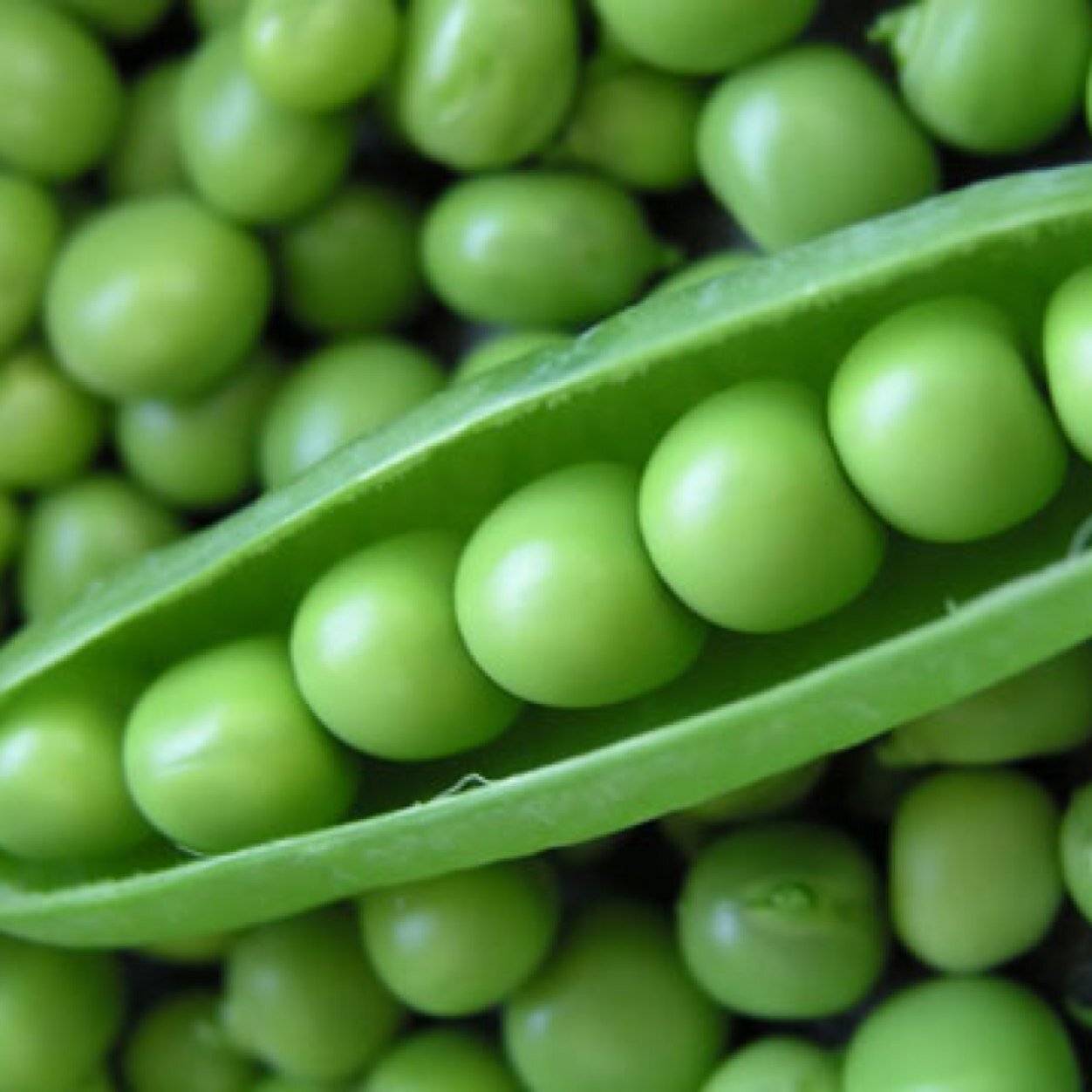 an entire account for puns about peas? i can't pealieve it!