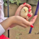 ام عبداللـــــه (@05551259071) Twitter