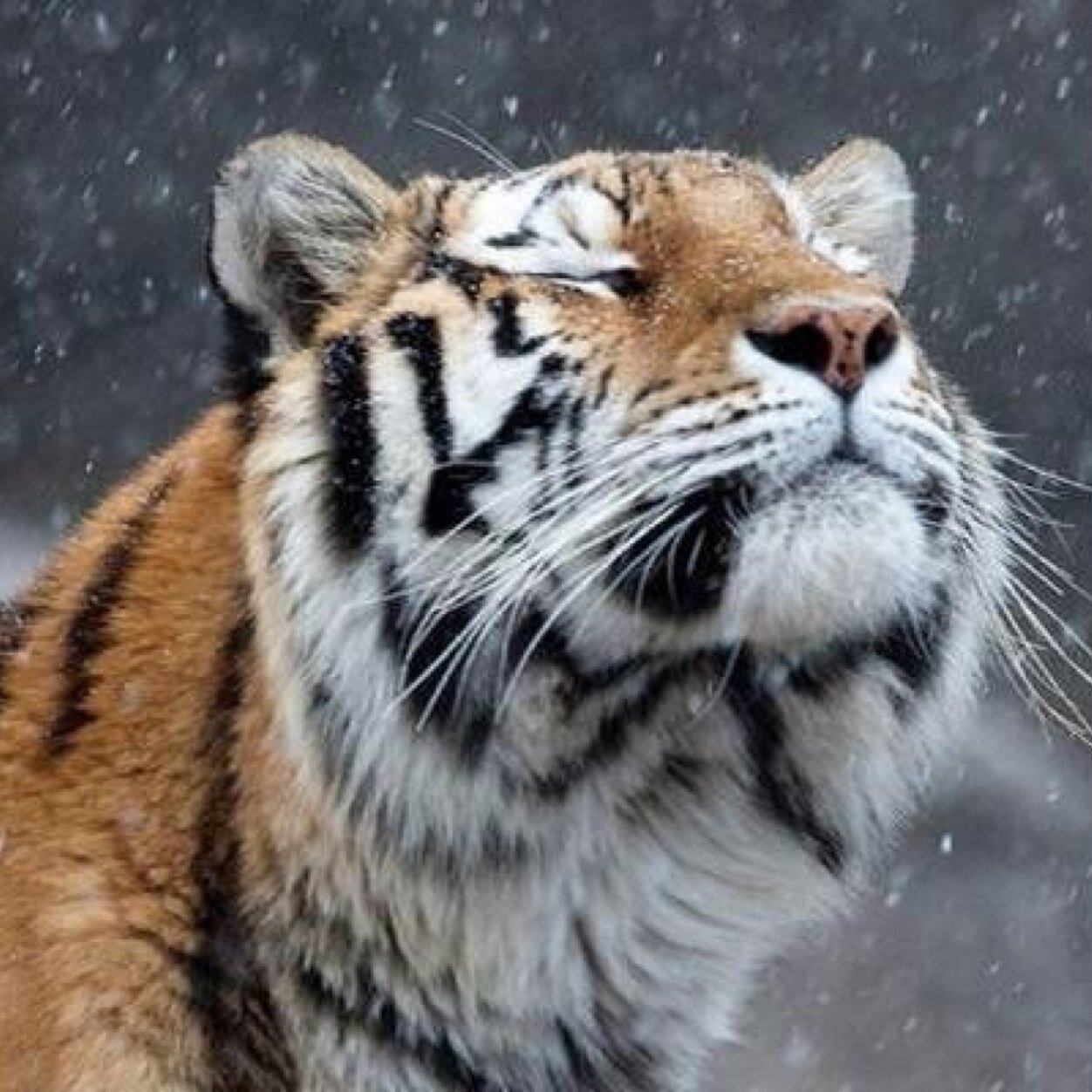 GodsCountryMan's profile picture. CLEMSON SC is God's Country