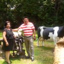 Alfonso Negrete Diaz - @alneda23 - Twitter