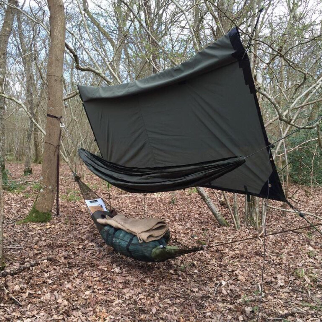 Sharing our love for hanging in the woods.