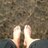 ruizmarin_bego's profile image