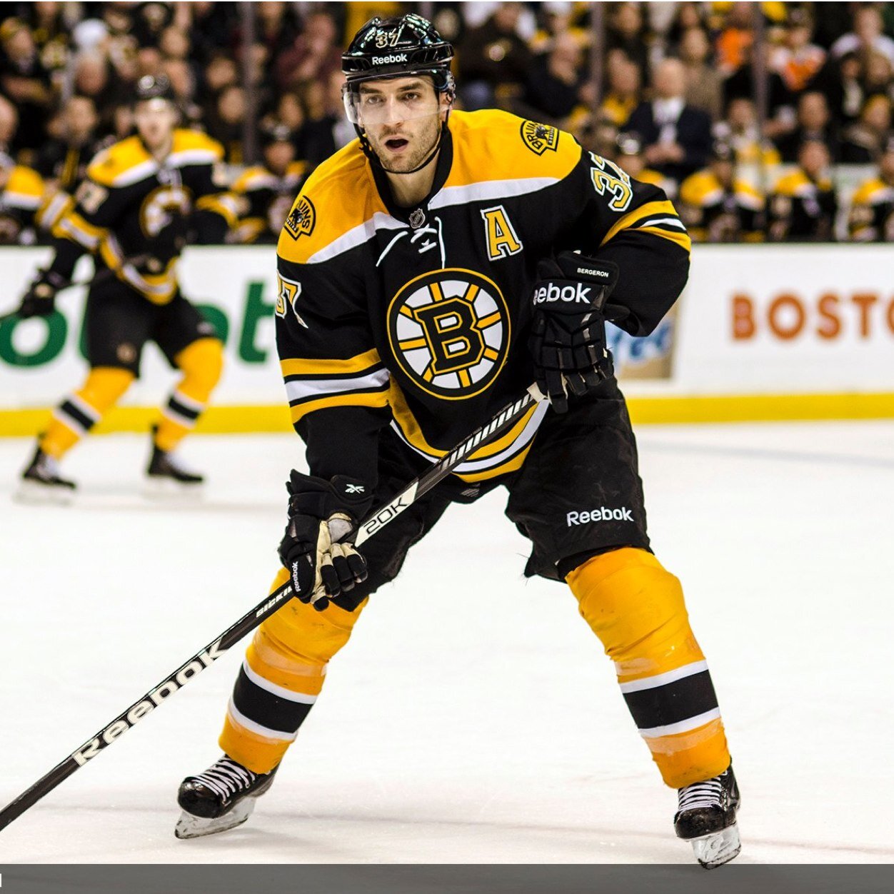 VOTE FOR BERGY!!!