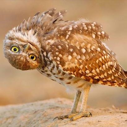 grecsa56's profile picture. 