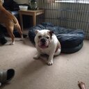 Steven Oakley - @0ak13y - Twitter