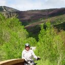 sandra wharton - @sandra_wharton - Twitter