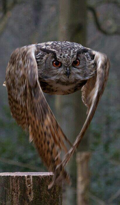 hatch1878's profile picture. 