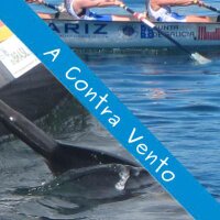 A ContraVento (MSO) (@acontravento) 's Twitter Profile Photo