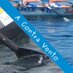 A ContraVento (MSO) (@acontravento) Twitter profile photo