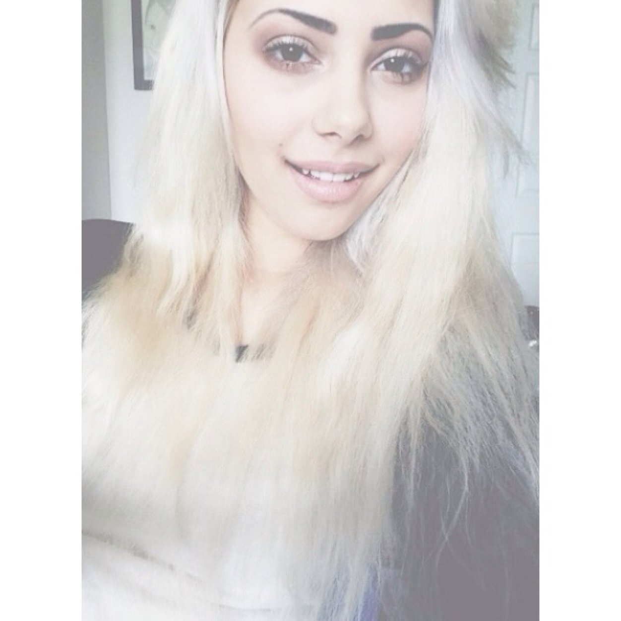 PRlNCCSS Profile Picture