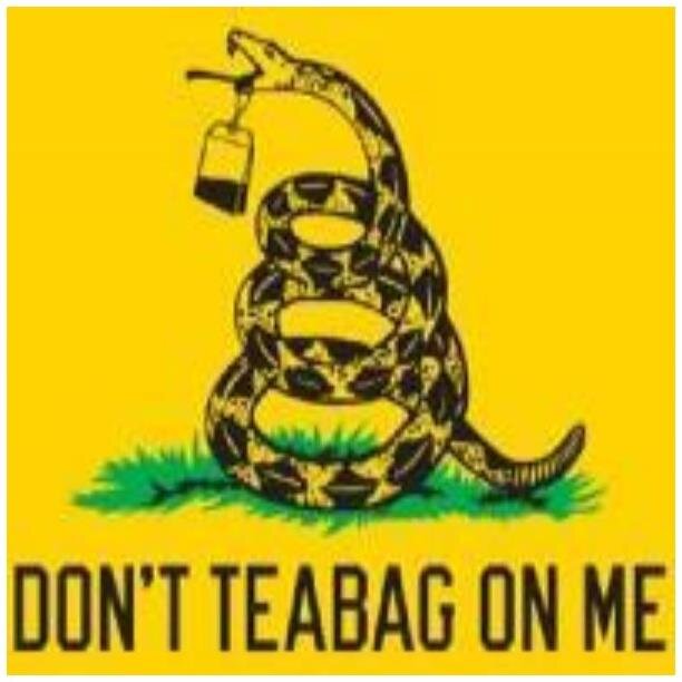 Expose the Tea-Party for who they are, traitors to the United States of America. They are funded by the super rich to oppress the poor, sick, old & middle-class