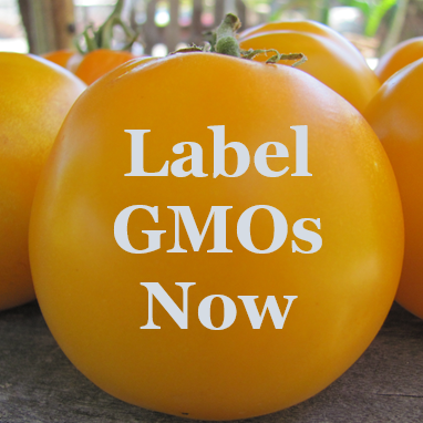 The advocacy and promotion of labelling requirements for all genetically modified organisms.