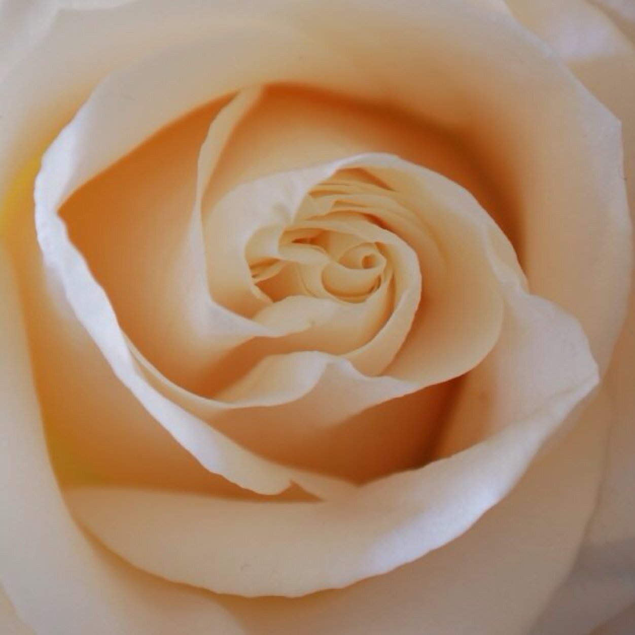 mykadot's profile picture. Mother of one lovely child and two teenagers...Photographer, Fine
artist and horder.