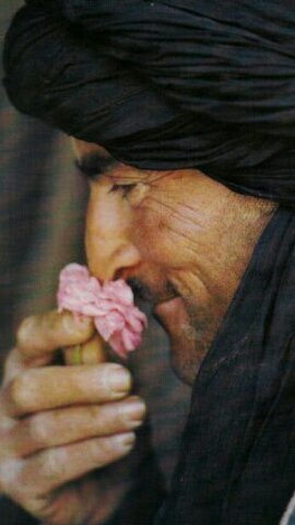 اللهم ارحمني إذا نُسي اسمي وبلي جسمي واندرس قبري ولم يزرني زائر ولم يذكرني ذاكر إلهي ارحمني يوم لاينفع مال ولابنين إلامن أتى الله بقلب سليم ♥