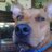 Scooby_Gu's profile image