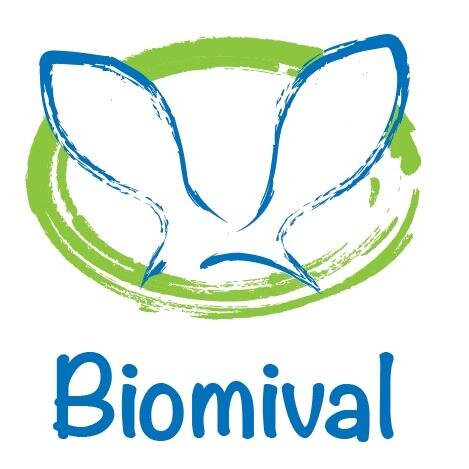 Experts in Biomimicry & circular economy. Expertos en Biomimesis y economía circular. ES/EN https://t.co/Al9C9qIvTa