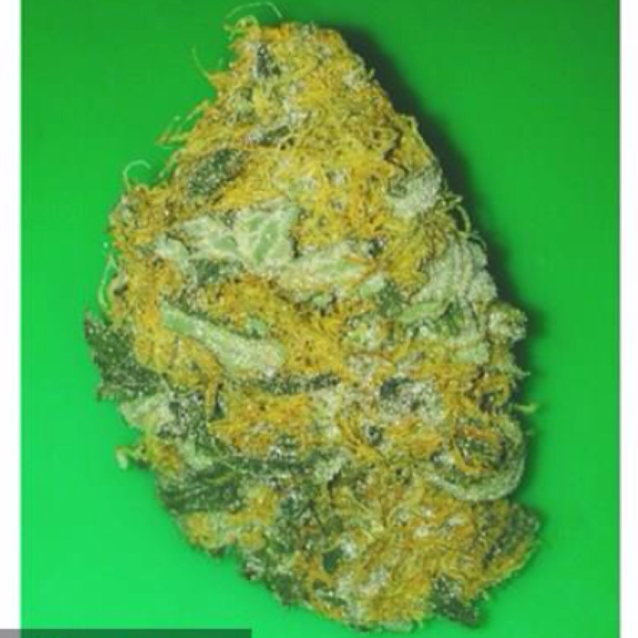 You don't smoke weed? Fine. Just don't judge the people who do.