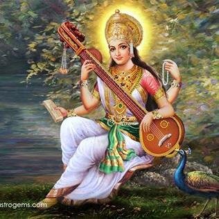 PapanBBA's profile picture. 