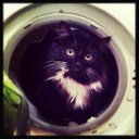 Jerry - @JerryManzi13 - Twitter