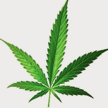 Follow for a good time! I Pot Daily @DailyPot