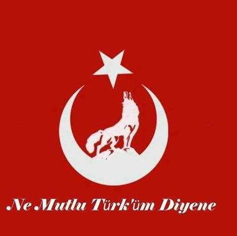 ranalicious40's profile picture. 