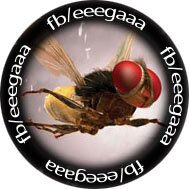 eegabuzz's profile picture. 