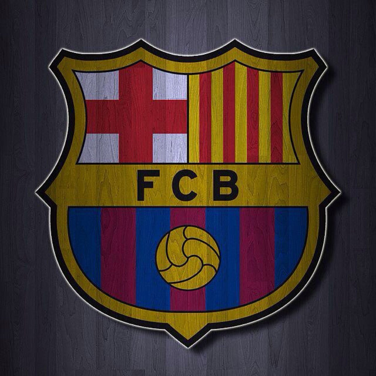 5chmidi's profile picture. #14#Austria#Football❤️#FC Barcelona #Fishing#Snowboarding#Cule
