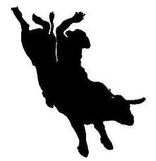 Here we like to ride bulls, not be afraid of them, and not run from them. We are not investment advice do your own DD. Take profits when you have them!